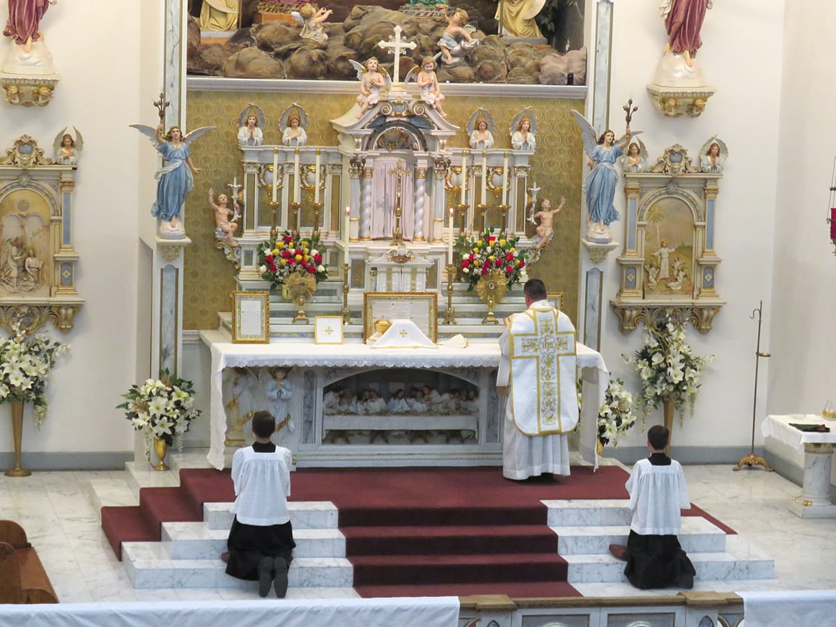 Fr. Michael Anaya offers the opening Mass of the Fatima Conference