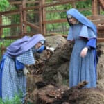 With school being cancelled, the Sisters used some of the extra time to begin work on a vegetable garden.