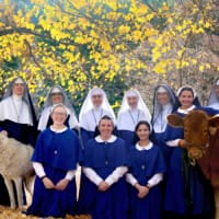 Four new postulants add their smiles to the Novitiate collection. Rex looks embarrassed to be included in a photo opposite a cow...