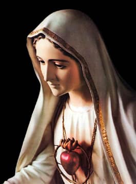 Immaculate Heart of Mary