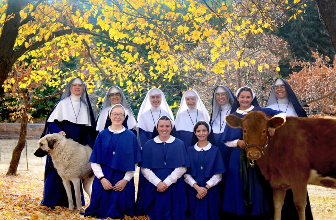 Four new postulants add their smiles to the Novitiate collection. Rex looks embarrassed to be included in a photo opposite a cow...