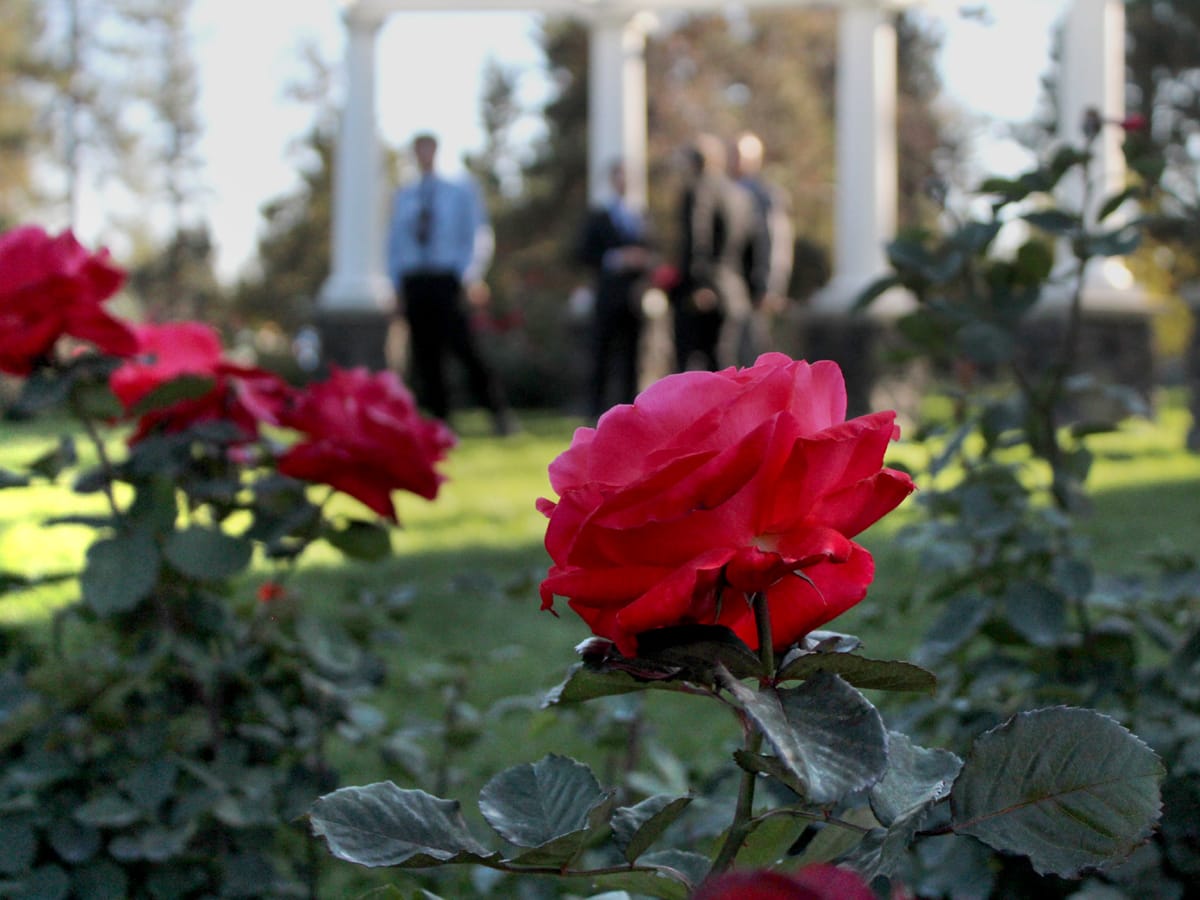 Visiting the rose gardens at Manito Park.