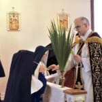 In receiving blessed palms on Palm Sunday in our own cloister chapel, we came to realize that cloistered nuns only know Holy Week this way Palm Sunday ceremonies in the convent!