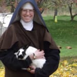 Bruno the Bunny, one of the latest additions to the novitiate farm.