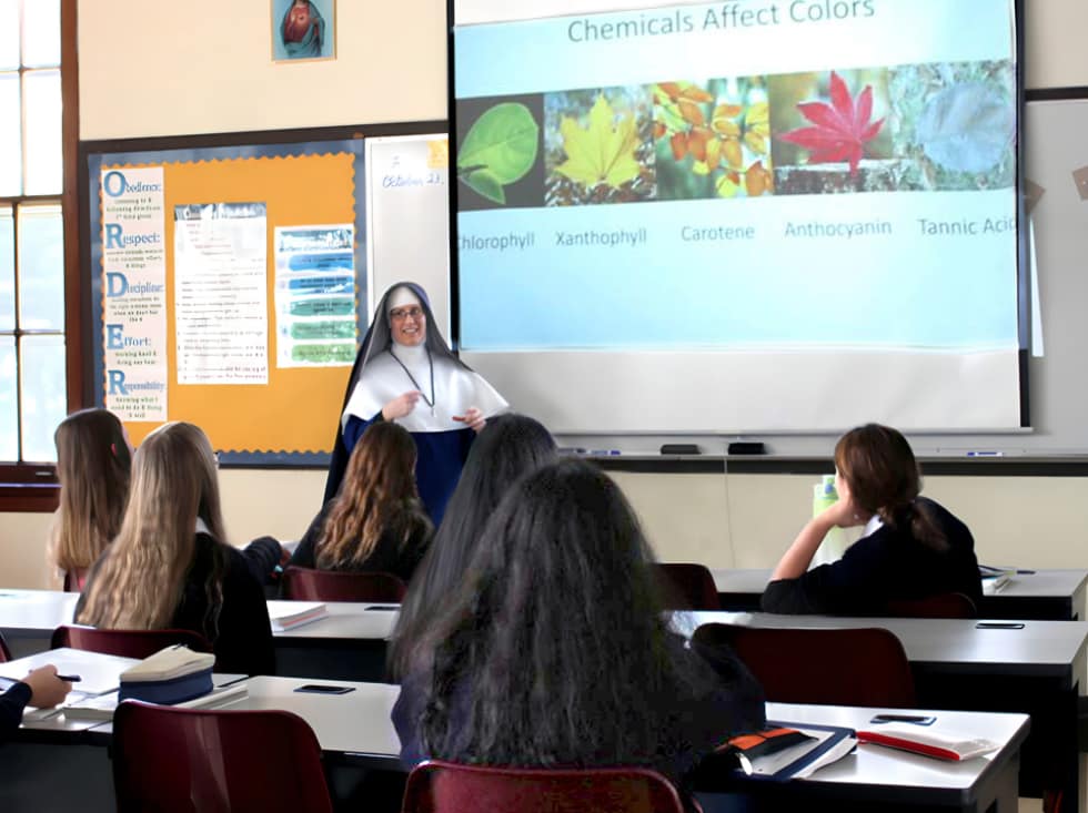 Exploring the wonders of God’s creation during biology class with Sr. Mary Cabrini at St. Michael’s Academy.